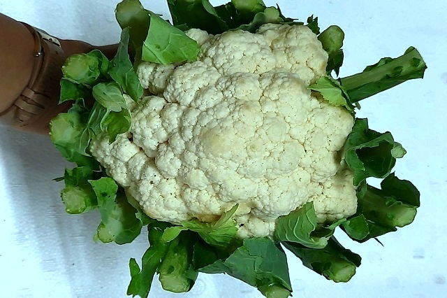 Cauliflower