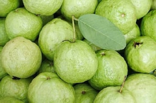 Guava